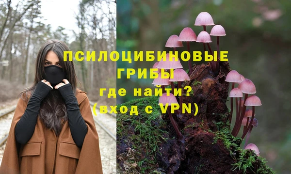 ГАЛЛЮЦИНОГЕННЫЕ ГРИБЫ Нязепетровск