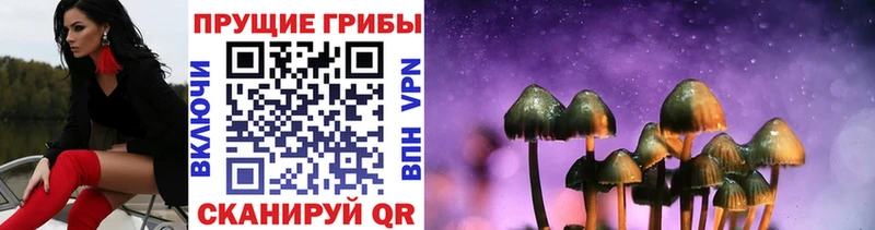 Купить  Бугульма  Псилоцибиновые грибы Magic Shrooms 